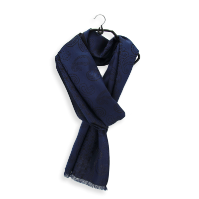 FOULARD SOIE HOMME MARINE - CHARLES